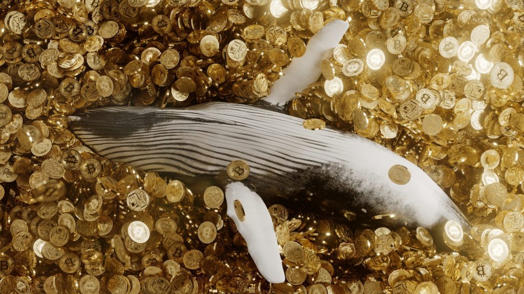 Massives Misstrauen in Binance: Krypto-Wal zieht Millionenbetrag ab