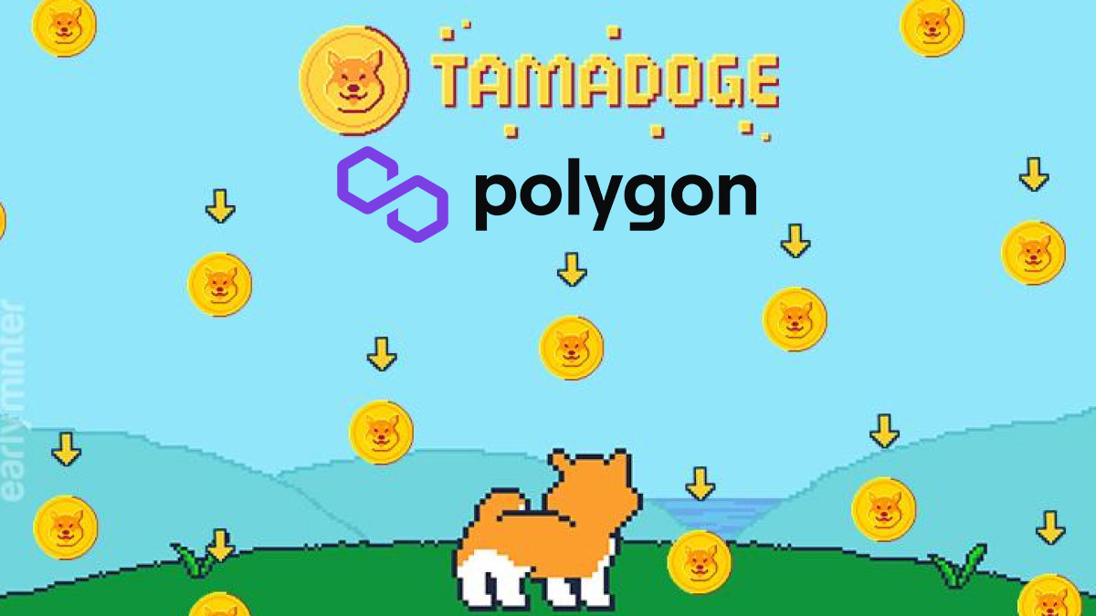 Krypto Geheimtipp: $TAMA V2 auf Polygon angekündigt