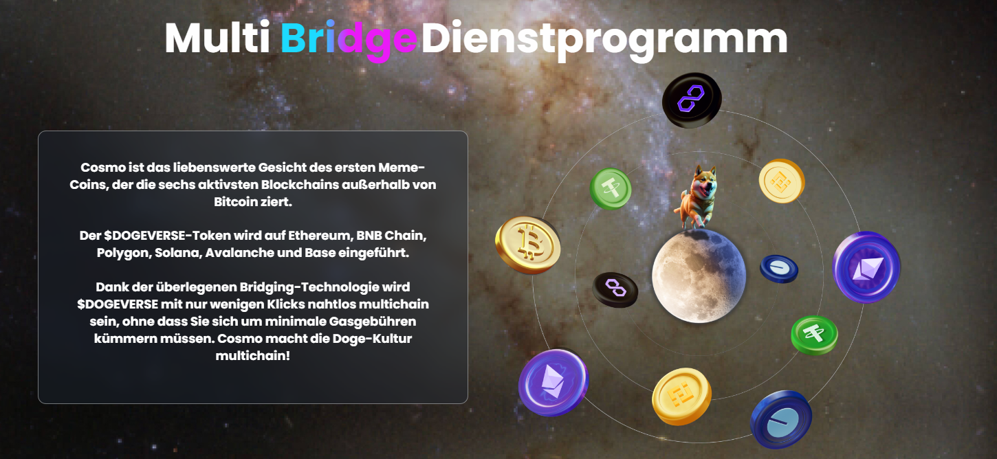 Dogeverse Multichain Technologie