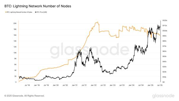 Lightning Nodes