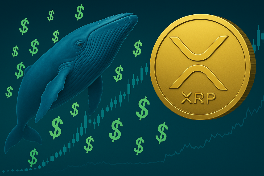 Bitwise-Studie enthüllt XRP-Potenzial: Kursziel bis zu 29,30 Dollar möglich