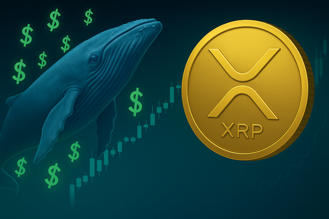 XRP vor möglicher Explosion: Wale investieren 560 Millionen und Liquidität sammelt sich bei 3,60 Dollar