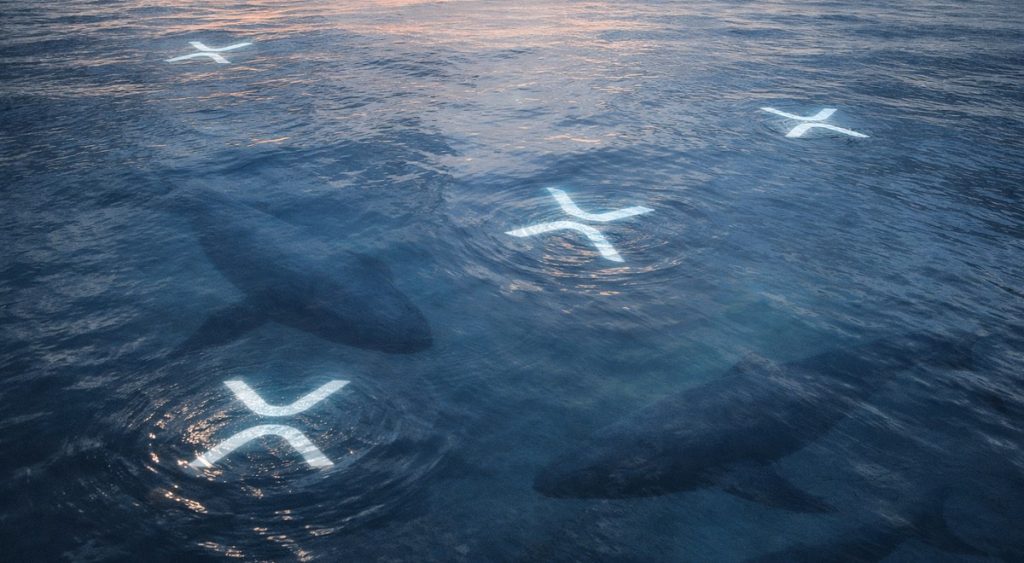 Ist XRP tot oder stellt es sich nur tot, während Wale Milliarden abstoßen?