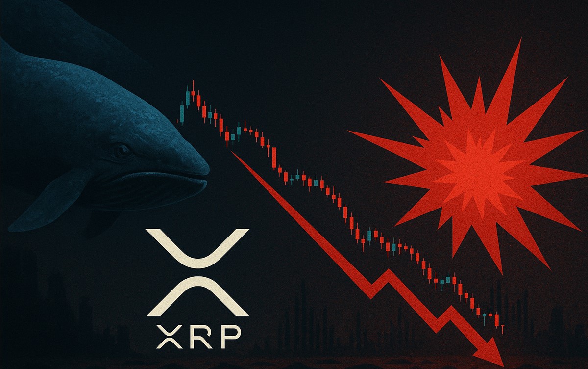 Wale dominieren das Schlachtfeld, XRP Käufer ziehen sich zurück, Volatilität explodiert