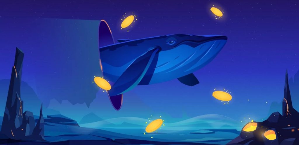 Das große Ausdünnen: Wale verlassen das sinkende Schiff